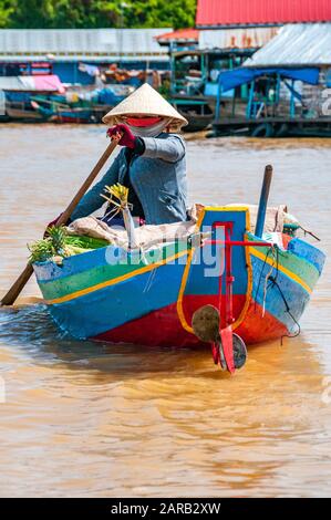 A woman rows a colorful blue, red, green and yellow boat with a delivery of fruit and vegetables in Chong Kneas, Tonle Sap Lake, Cambodia. Stock Photo