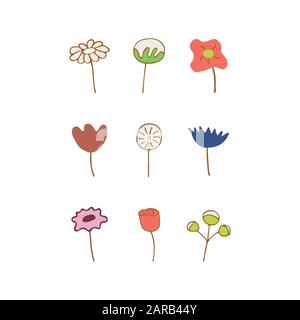 Set of spring and summer flowers and twigs on a white background. Tulip, Daisy, Dandelion, Cotton, Rose. Colorful illustration Stock Vector
