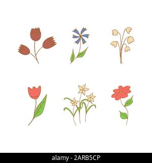 Set of spring and summer flowers and twigs on a white background. Tulip, daffodil, lily of the valley, knapweed. Colorful illustration Stock Vector