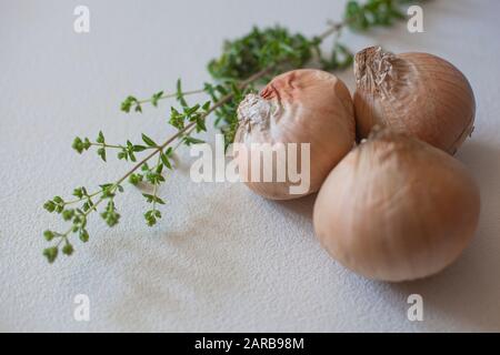 Marjoram and three onions on a white kitchen counter Stock Photo