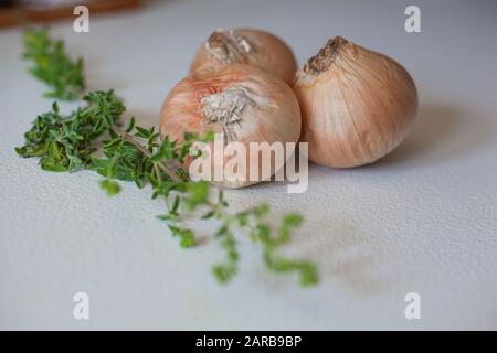 Marjoram and three onions on a white kitchen counter Stock Photo