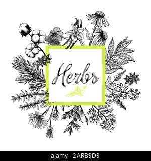 Poster card composition of hand drawn sketch style different kinds of plants isolated on white background. Vector illustration. Stock Vector