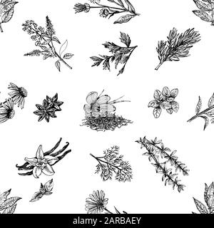 Seamless pattern of hand drawn sketch style different kinds of plants isolated on white background. Vector illustration. Stock Vector