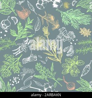 Colorful seamless pattern of hand drawn sketch style different kinds of herbs and spices isolated on white background. Chalkboard vector illustration. Stock Vector