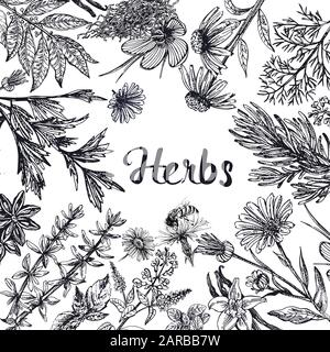 Poster card composition of hand drawn sketch style different kinds of plants isolated on white background. Vector illustration. Stock Vector