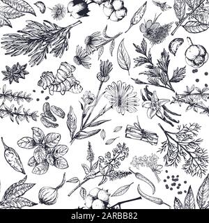 Seamless pattern of hand drawn sketch style different kinds of herbs and spices isolated on white background. Vector illustration. Stock Vector