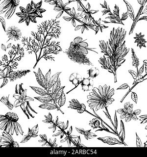 Seamless pattern of hand drawn sketch style different kinds of plants isolated on white background. Vector illustration. Stock Vector