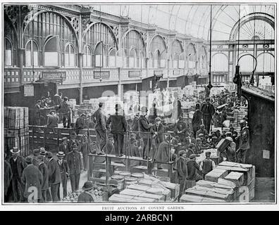 Fruit auctions at Covent Garden 1900 Stock Photo