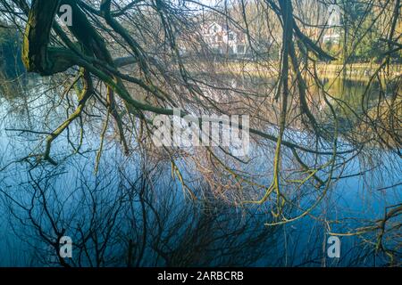 Reflections of branches in the water at the Etang de Corot in winter in Ville d'Avray near Paris, France Stock Photo