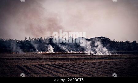 Air quality caused . Agricultural Burning in rural area of Thailand .  Farmers burn their fields to remove plants . prescribed burns . Farmers regular Stock Photo