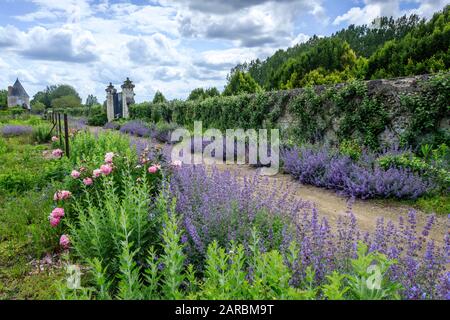France, Indre et Loire, Chancay, Chateau de Valmer gardens, path at the bottom vegetable garden with a border Nepeta X faassenii 'Six Hills Giant' //