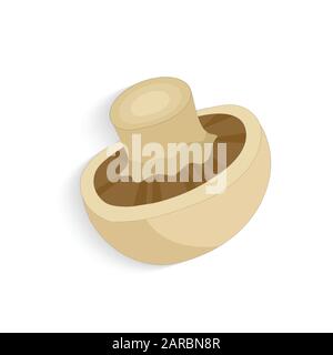 Champignon mushrooms. Fresh organic realistic mushrooms, vector illustration Stock Vector