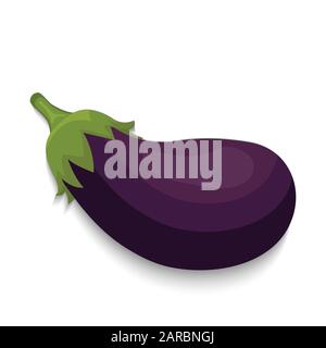 Realistic eggplant vegetable, vector illustration Stock Vector