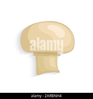 Champignon mushrooms. Fresh organic realistic mushrooms, vector illustration Stock Vector