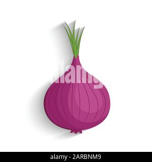 Onion. Shallots onion, vector illustration. Fresh realistic sweet onion Stock Vector