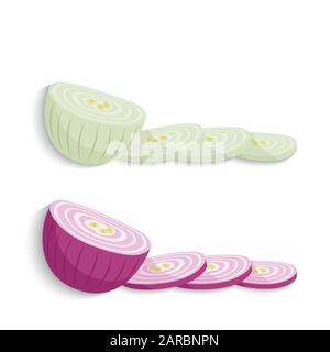 Onions. Shallots onions half and sliced, vector illustration Stock Vector