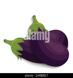Realistic eggplant vegetables whole, vector illustration Stock Vector
