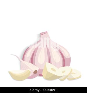 Realistic fresh organic garlic. Garlic bulb. Garlic cloves. vector illustration Stock Vector