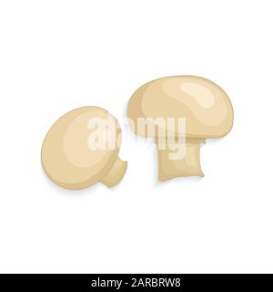 Champignon mushrooms. Fresh organic realistic mushrooms, vector illustration Stock Vector