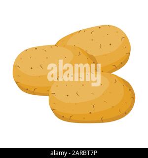 Potatoes. vector illustration. Realistic fresh organic potatoes. Stock Vector
