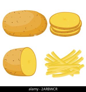 Potatoes. vector illustration. Set of whole, slices, half and French fries potatoes. Stock Vector