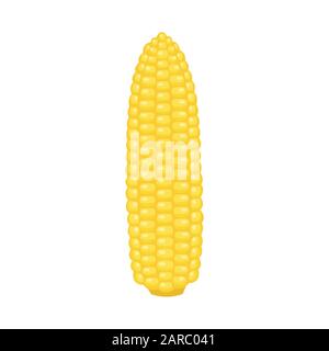 Corn cobs on white background, vector illustration Stock Vector