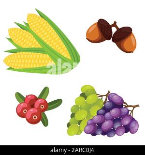 Thanksgiving day icons set. Corns, acorns, cranberries, grapes. Vector illustration. Stock Vector
