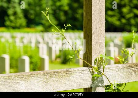 Durnbach War Cemetery is the final rest of 2960 soldiers who died in WW2 Stock Photo