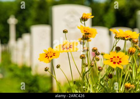 Durnbach War Cemetery is the final rest of 2960 soldiers who died in WW2 Stock Photo