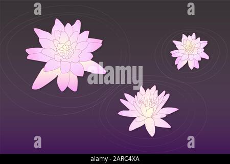 Vector art pink lotus flowers on dark purple water with circles background. Peaceful romantic cute flowers in the pond drawing. Stock Vector