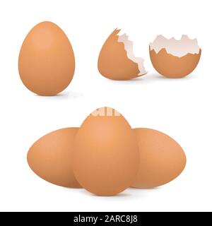 Chicken eggs, whole and broken. Vector 3d illustrarion isolated on white background Stock Vector