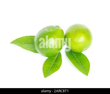 Studio shot two Asian green limes with leaves isolated on white Stock Photo