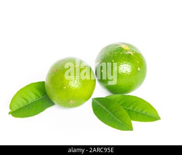 Studio shot two Asian green limes with leaves isolated on white Stock Photo