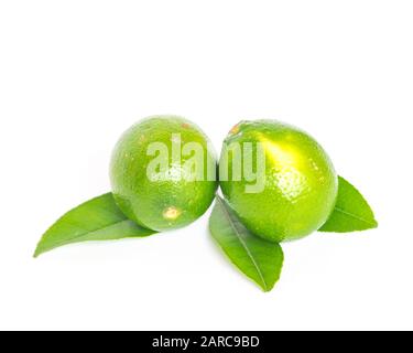Studio shot two Asian green limes with leaves isolated on white Stock Photo