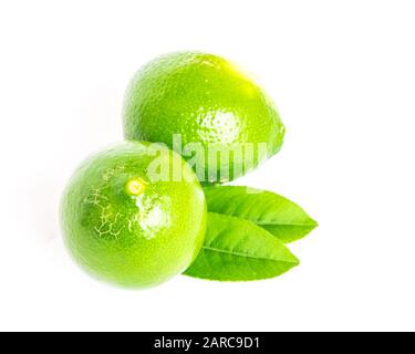 Studio shot two Asian green limes with leaves isolated on white Stock Photo