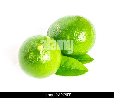Studio shot two Asian green limes with leaves isolated on white Stock Photo