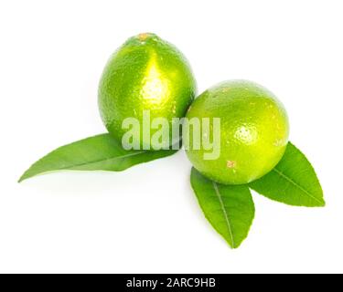 Studio shot two Asian green limes with leaves isolated on white Stock Photo
