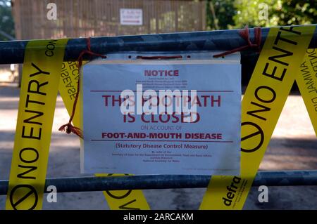 Dead cattle being removed by DEFRA from a  farm in Normandy in Surrey, scene of second outbreak of foot and mouth disease in 2007. Stock Photo