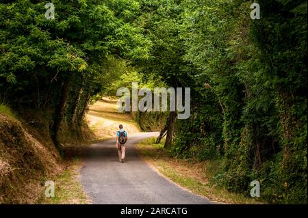 A man walking in a mysterious forest Stock Photo