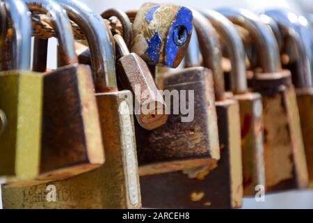 lot of different love padlocks on thick hemp rope. Stock Photo