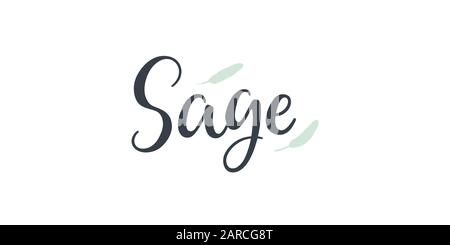 Sage text hand drawn lettering isolated on white background. Stock Vector