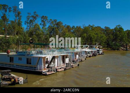 Echuca, VIC, Australia - January 21, 2008: House boats to rent on Murray river Stock Photo