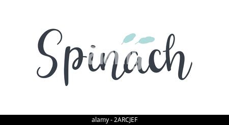 Spinach text hand drawn lettering isolated on white background. Stock Vector