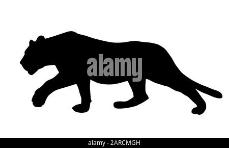 Realistic illustration of a feline, lion or panther, sneaking and hunting - vector Stock Vector