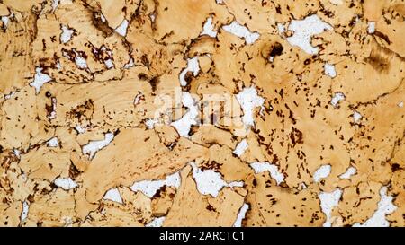 The texture of the cork. Wall Covering Cork White Accents. Cork board texture background. Decorative cork panel for facing cladding. Wooden brown Stock Photo