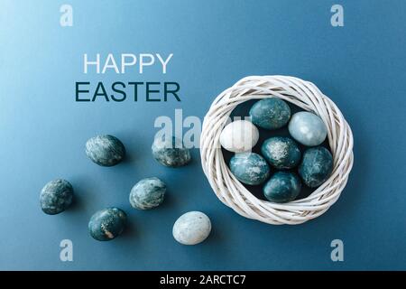 Three light blue robin eggs in their nest on a white background Stock Photo
