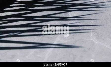 Grey marble table background with palm leaves shadow, summer concept Stock Photo