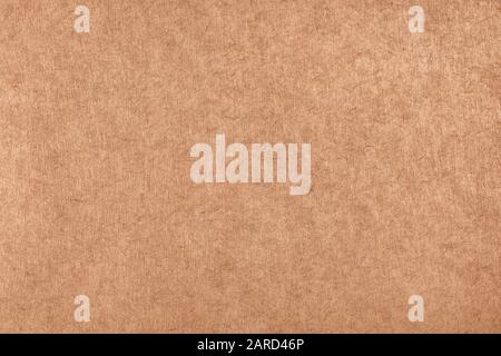 Beige cardboard close up. Macro texture and background Stock Photo