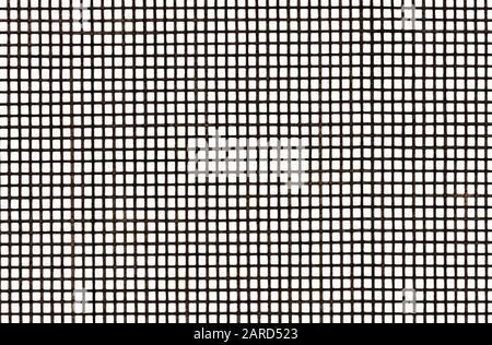 mesh texture square grid is shot close up on a white background Stock Photo