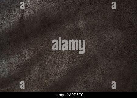 dark brown leather material, close up, texture Stock Photo